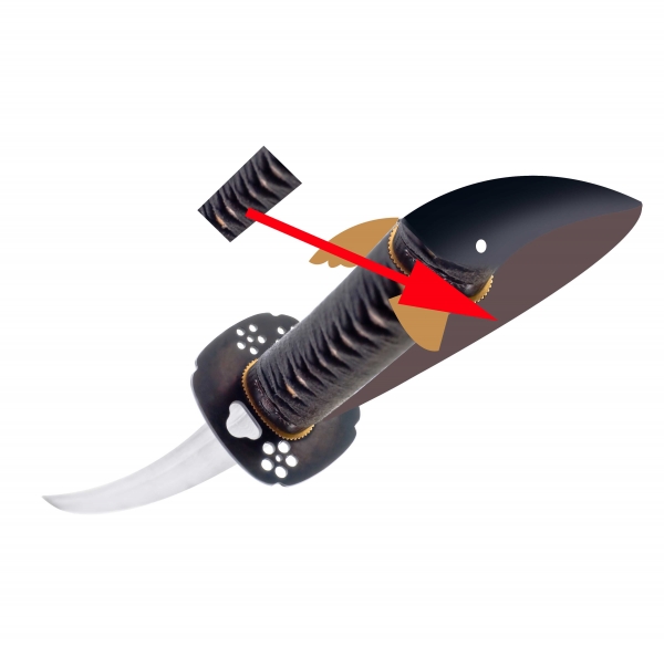 Creation of SWORD fish: Step 4